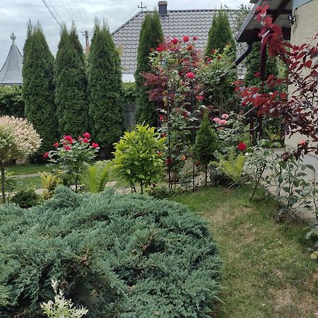 Casa Mamei Suceava Habitación foto