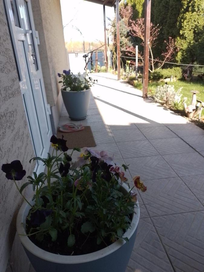 Casa Mamei Suceava Exterior foto