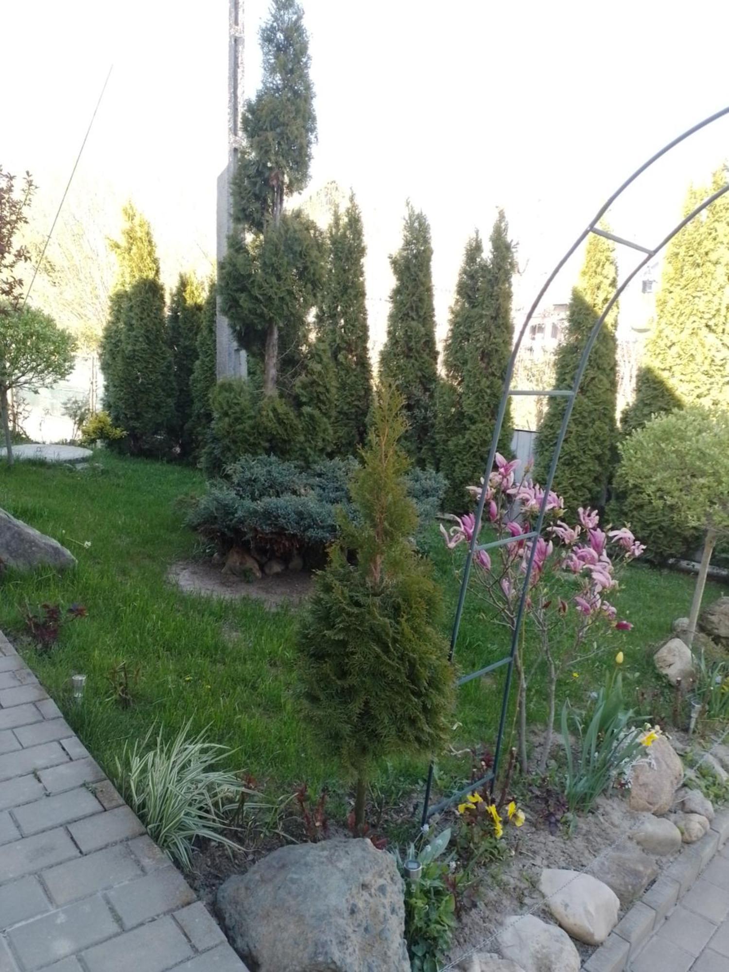 Casa Mamei Suceava Habitación foto