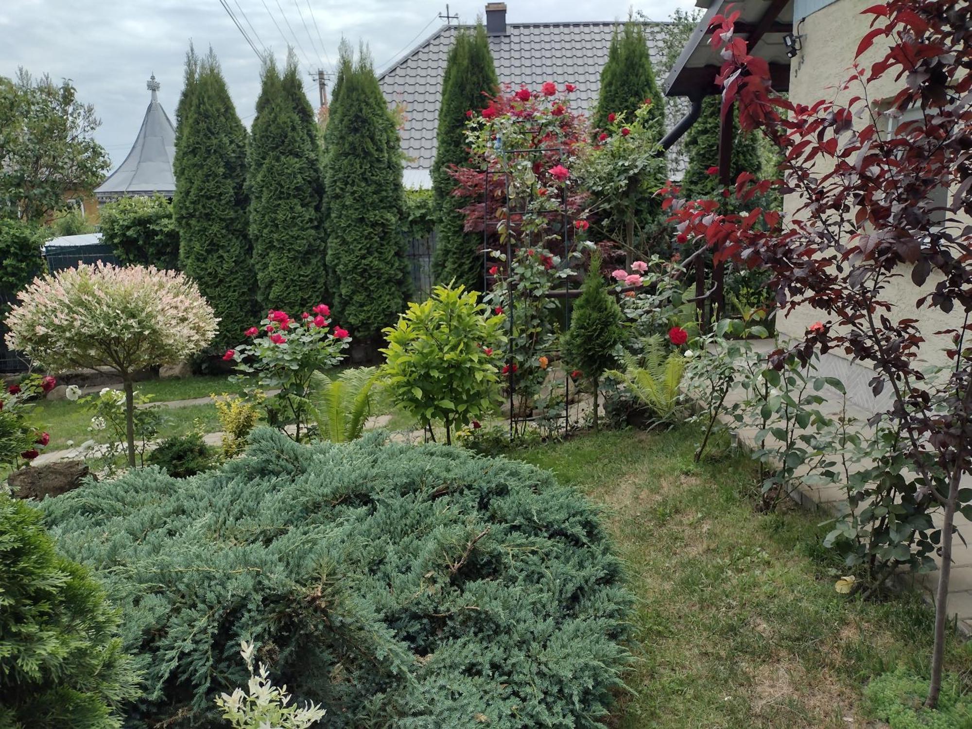 Casa Mamei Suceava Habitación foto